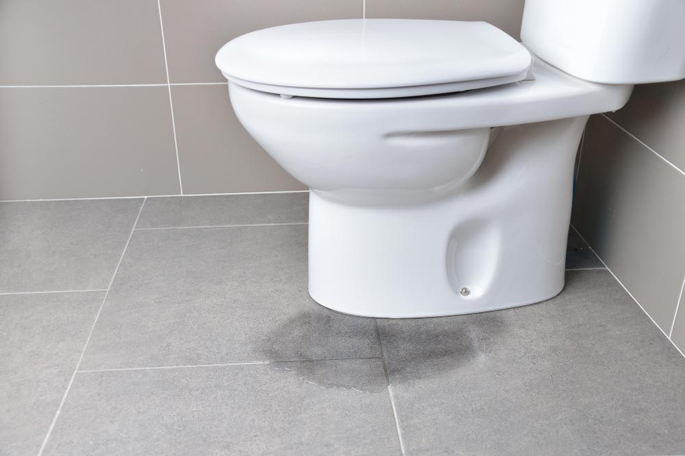 Leaks Coming From Toilet
