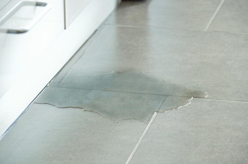 Water On The Floor