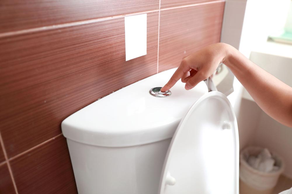 Woman Pushing The Flush Button