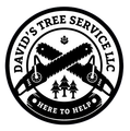 David's Tree Service LLC David's Tree Service LLC