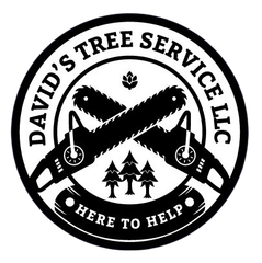 David's Tree Service LLC David's Tree Service LLC