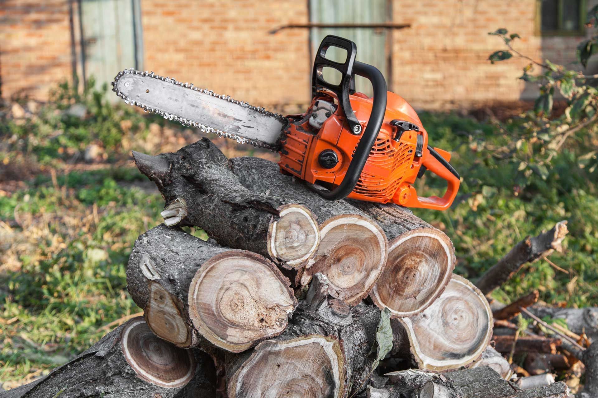A chainsaw is sitting on top of a pile of logs.