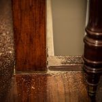 Palisades Park termite inspection service