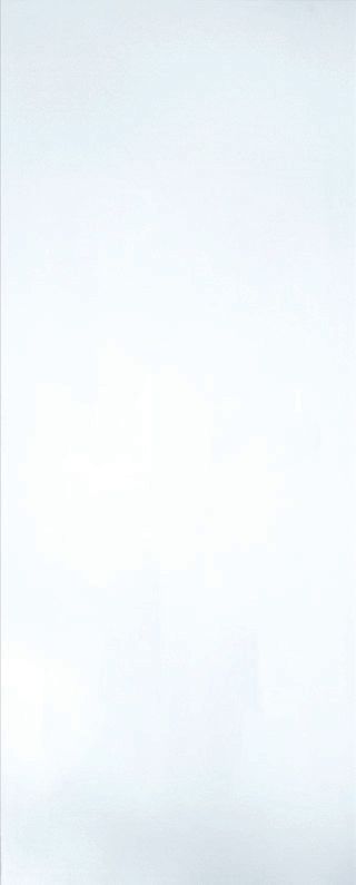 A01