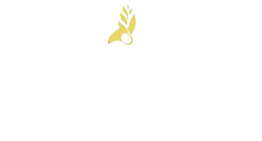 Mustard Seed Video Productions Inc. Mustard Seed Video Productions Inc.