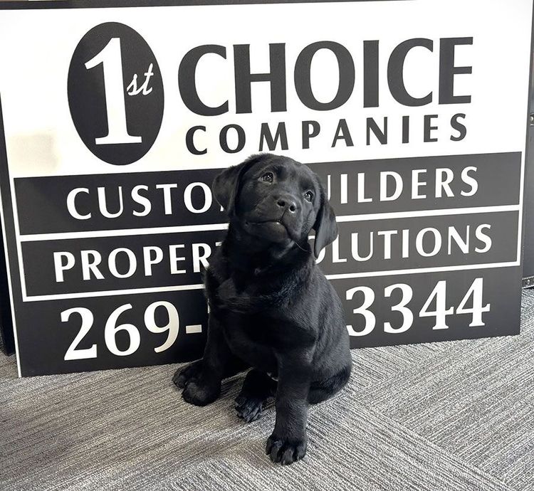Black puppy sitting in front of a “1st Choice Companies” construction sign with phone number.