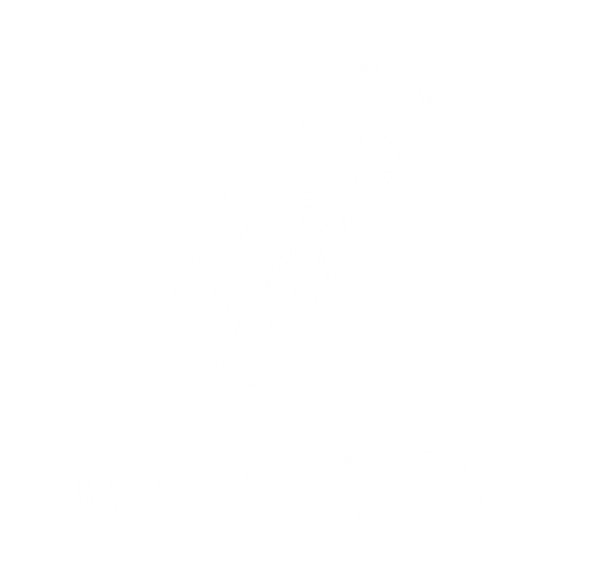 Shmitty ShMEDIA – Sydney videography and showreel production