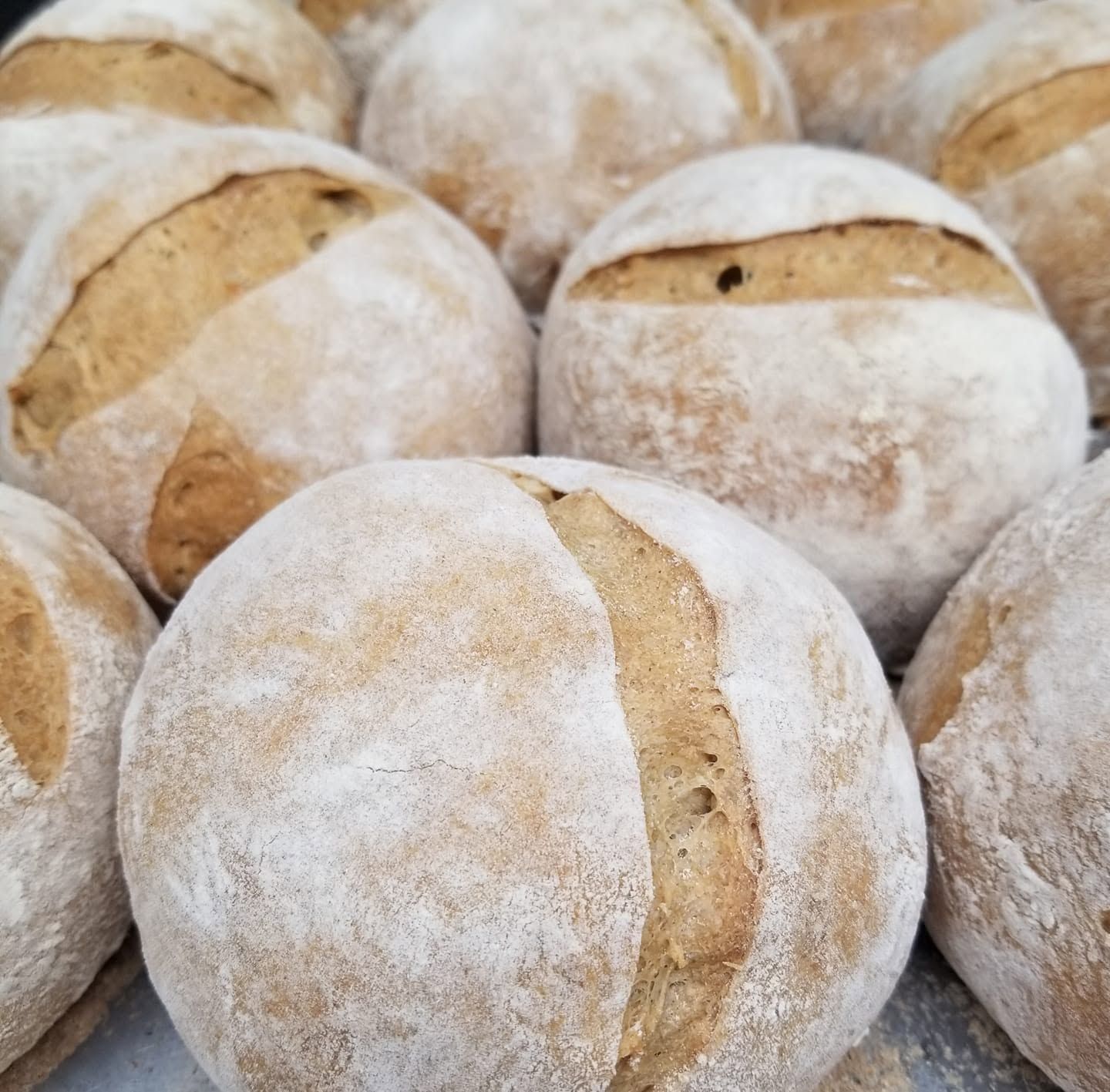 Round rustic bread loaves dusted with flour, tightly stacked together
