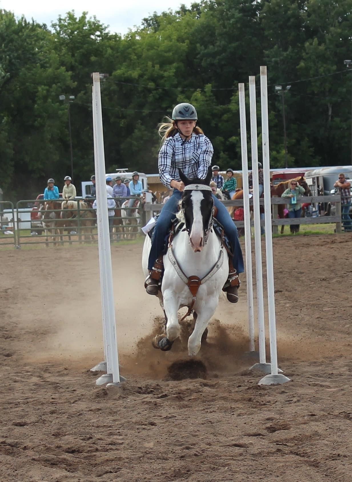 A Brown And White Horse With A Long Mane — Mora, MN — Country Care Equine Veterinary Services, P.A. A Brown And White Horse With A Long Mane — Mora, MN — Country Care Equine Veterinary Services, P.A.