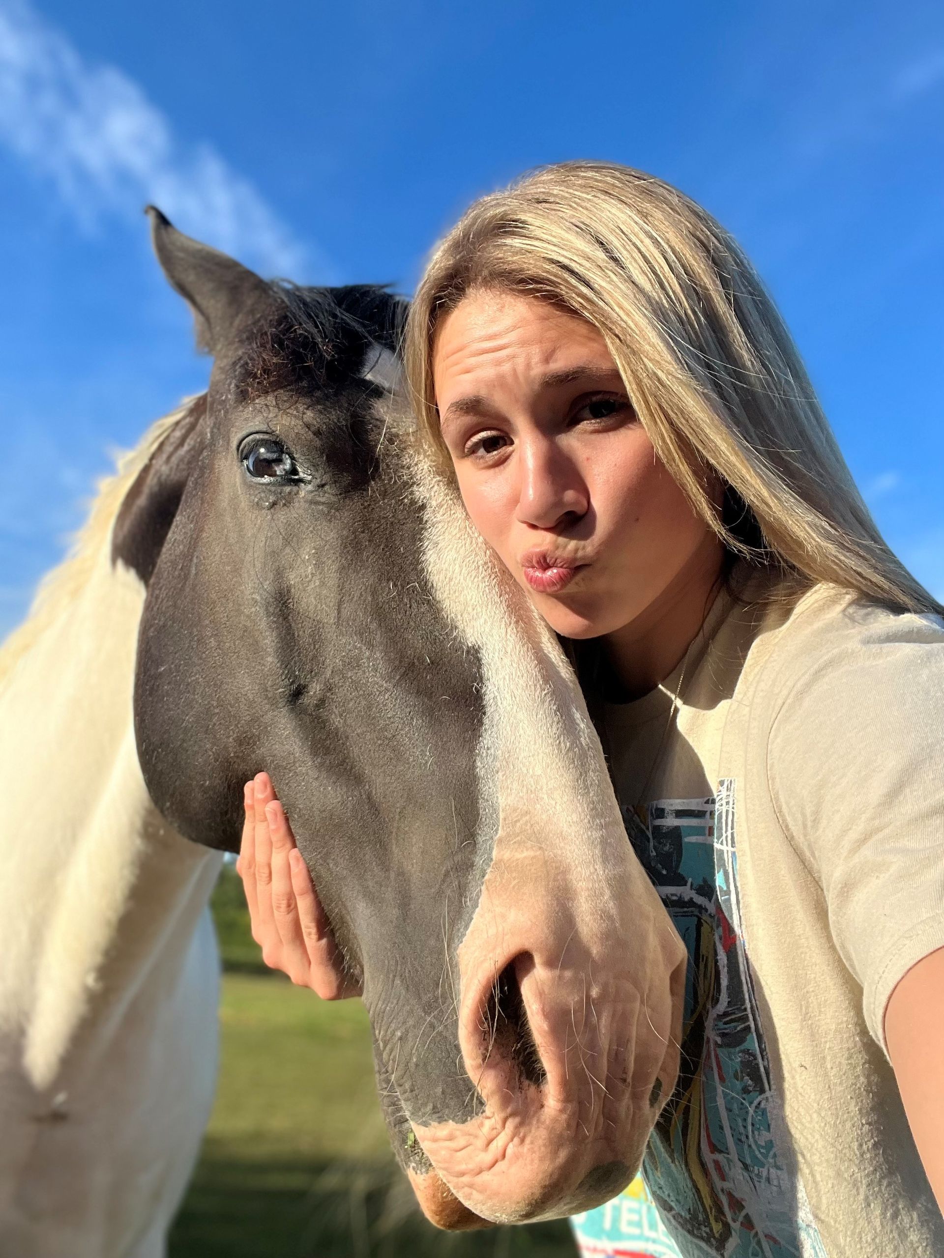 A Woman Is Riding A Black Horse Over A Jump — Mora, MN — Country Care Equine Veterinary Services, P.A.