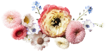 A bunch of different types of flowers on a white background.