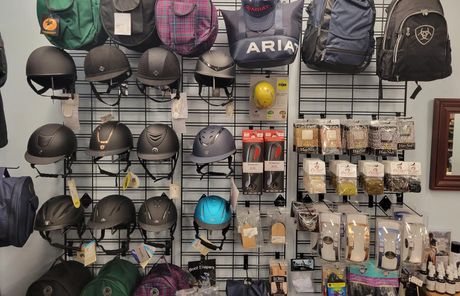 Helmets — Woodinville, WA — The Gift Horse Saddlery Helmets — Woodinville, WA — The Gift Horse Saddlery