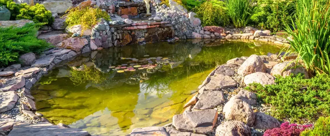 backyard-pond-construction-minnesota