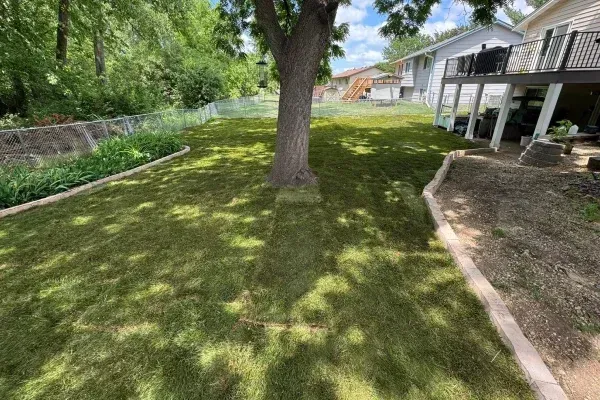 Professional landscapers creating a custom backyard landscape with planting beds and hardscape features in Chisago, Minnesota
