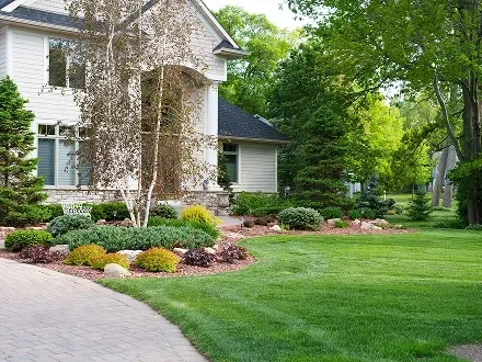 excavation services north branch mn