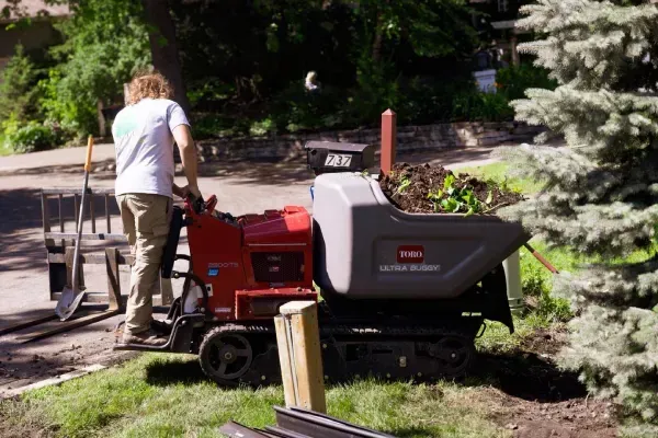 Landscape design and installation services focused on creating functional and visually appealing outdoor environments