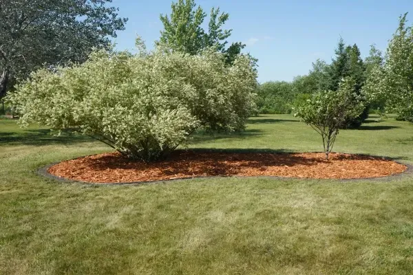 landscaping services designed to improve curb appeal and create functional outdoor living spaces