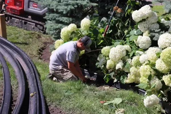 Landscape design and installation services in MN