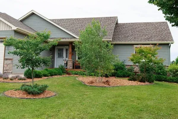 Professional landscaping services creating well-planned and visually balanced outdoor spaces
