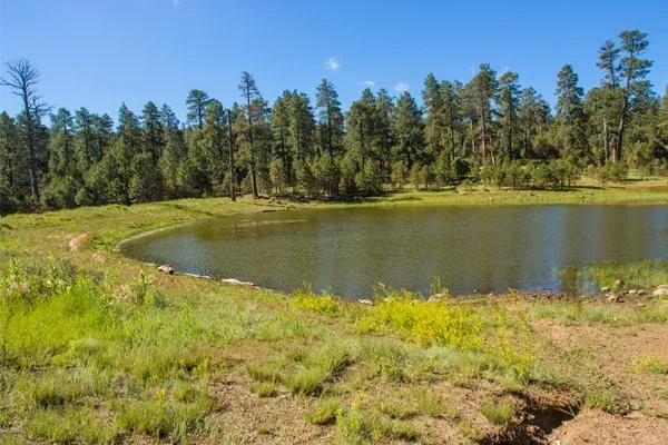 Stock pond installers in North Branch, MN
