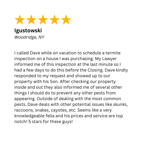 A 5-Star review about a last minute termite inspection in Woodridge, NY by Nuisance and Pest Control by Dave. 
