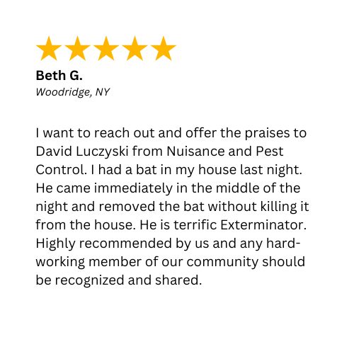 A 5-Star review about a late night humane bat removal in Woodridge, NY by Nuisance and Pest Control by Dave. 