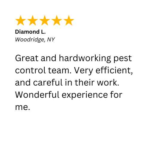 A 5-Star review about quality pest control services in Woodridge, NY by Nuisance and Pest Control by Dave. 
