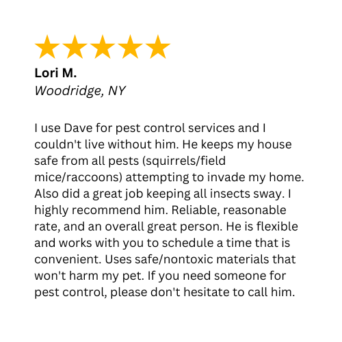 A 5-Star review about the variety of safe nuisance and pests removed in Woodridge, NY by Nuisance and Pest Control by Dave. 