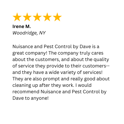 A 5-Star review about how tidy the pest control services in Woodridge, NY by Nuisance and Pest Control by Dave are. 