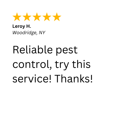 A 5-Star review about a quality pest control service in Woodridge, NY by Nuisance and Pest Control by Dave. 