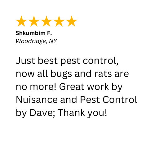 A 5-Star review about a quality bug removal and rat removal service in Woodridge, NY by Nuisance and Pest Control by Dave. 