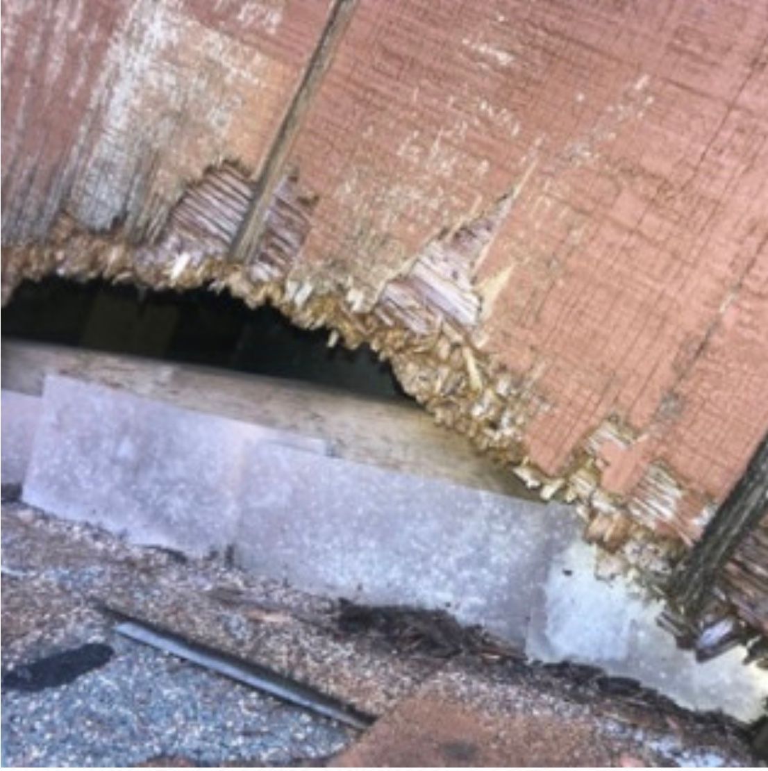 Before shot of a chimney in Ellenville, NY needing squirrel removal by Nuisance and Pest Control by Dave.