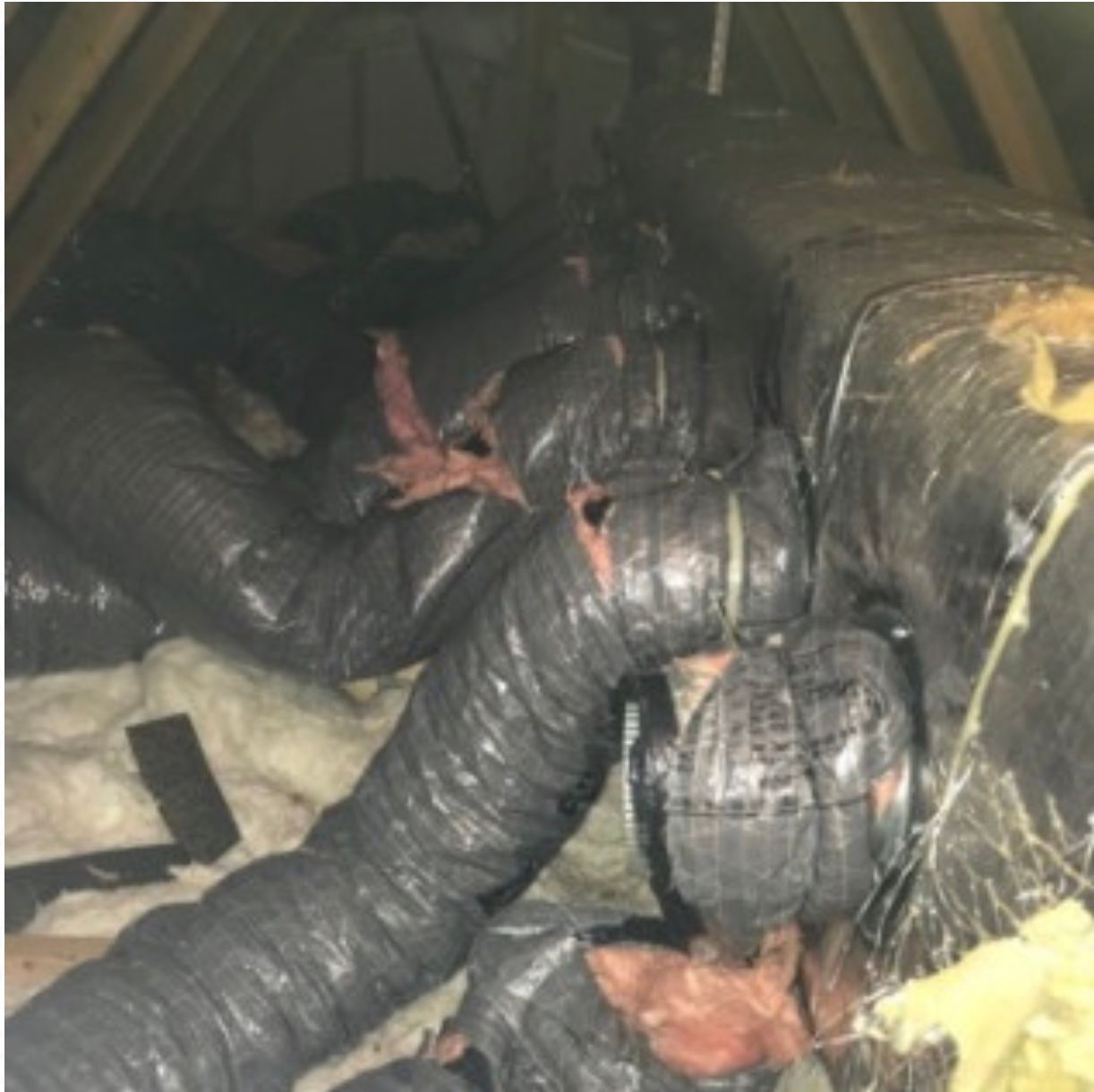 Damaged ducts in attic insulation in Woodridge, NY - will be cleaned and sanitized by Nuisance and Pest Control by Dave.
