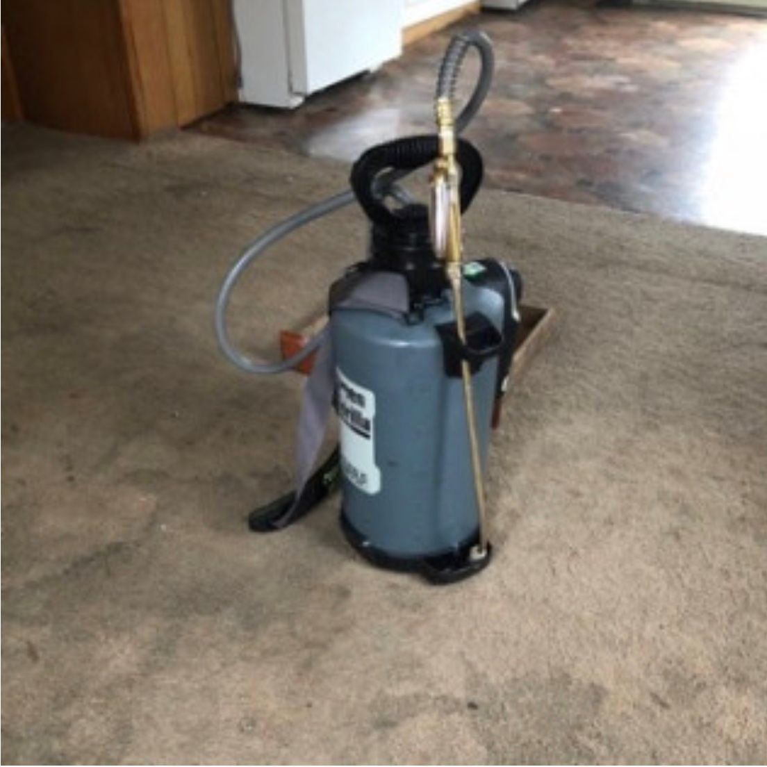 Nuisance and Pest Control by Dave utilizes only quality products for humane, safe pest control services in Sullivan Co., NY