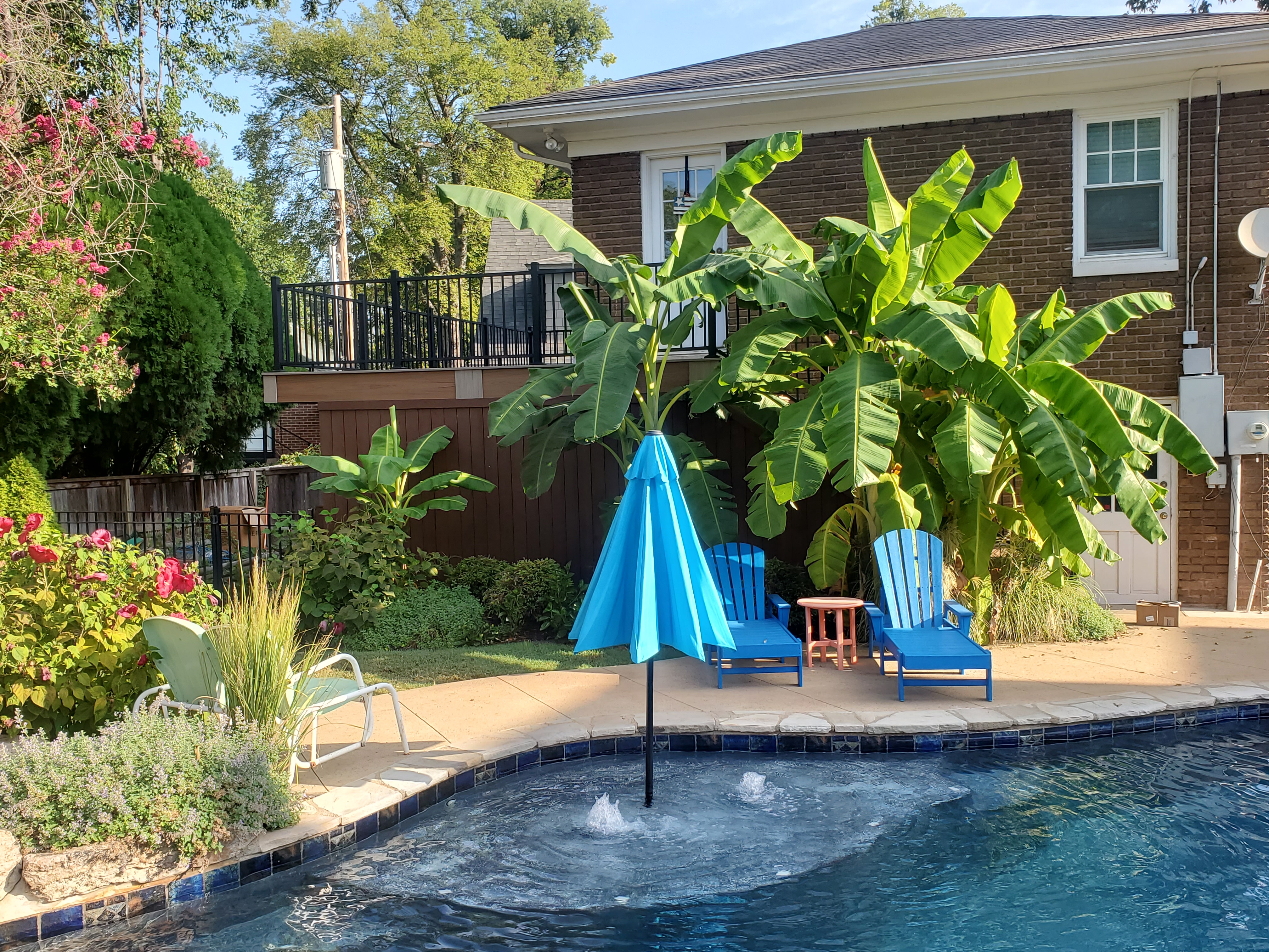 Backyard pool with blue umbrella, lounge chairs, and tropical plants beside a brick house