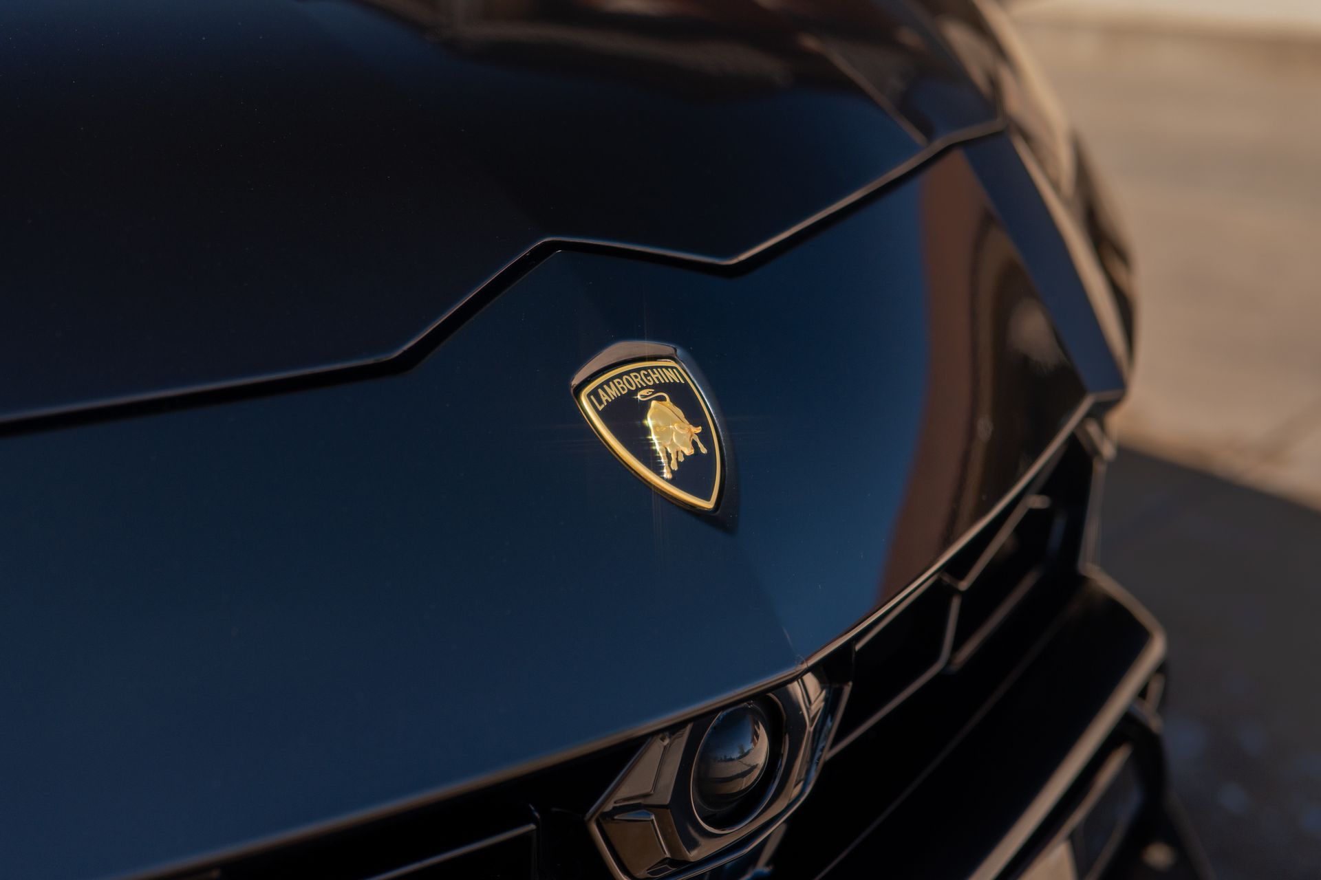Close-up of a blue Lamborghini hood with the gold bull emblem.