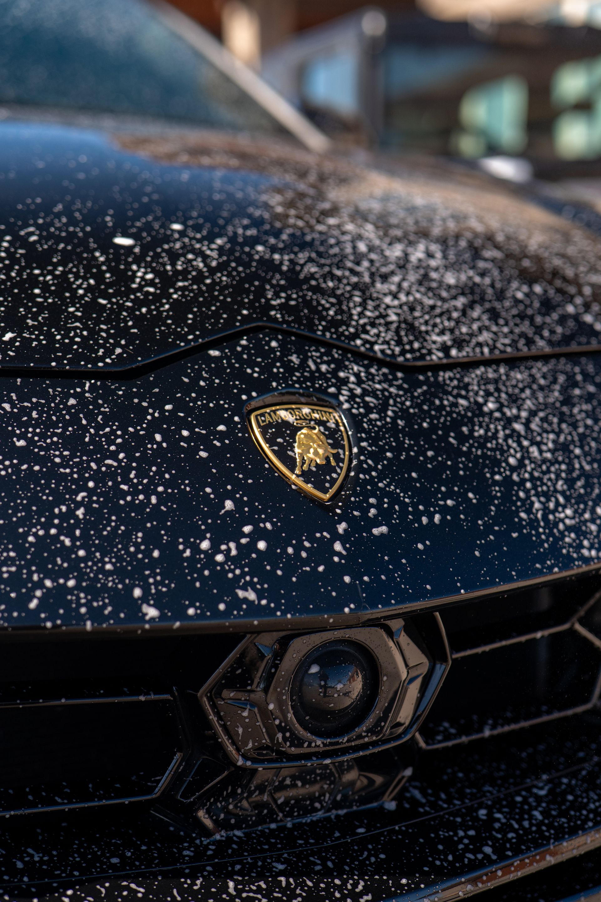 Detailing Service