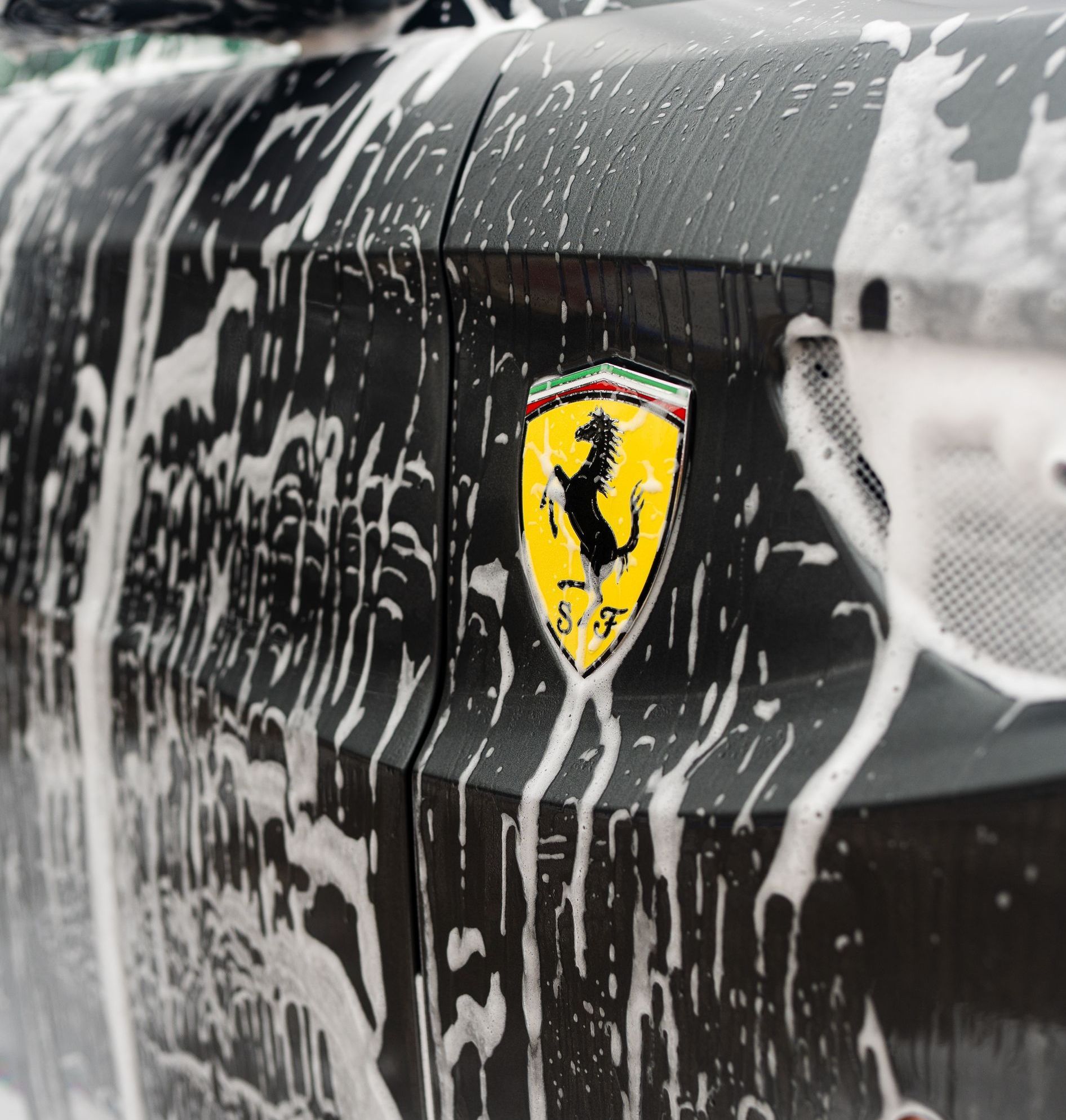 Professional Detailing