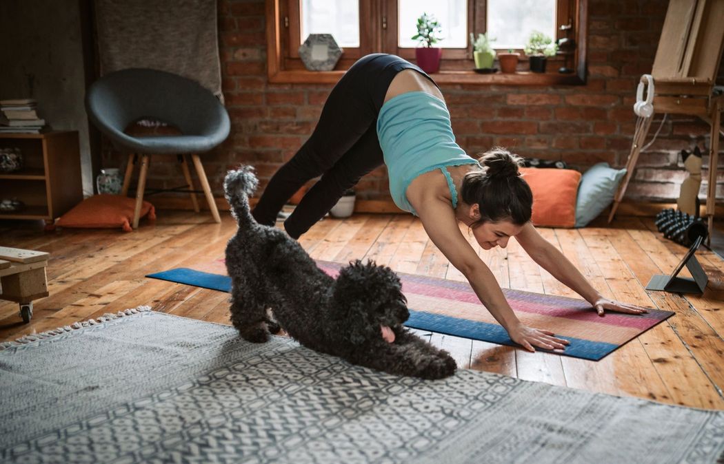 Person and black dog doing yoga stretches on mats in a cozy brick-walled room.