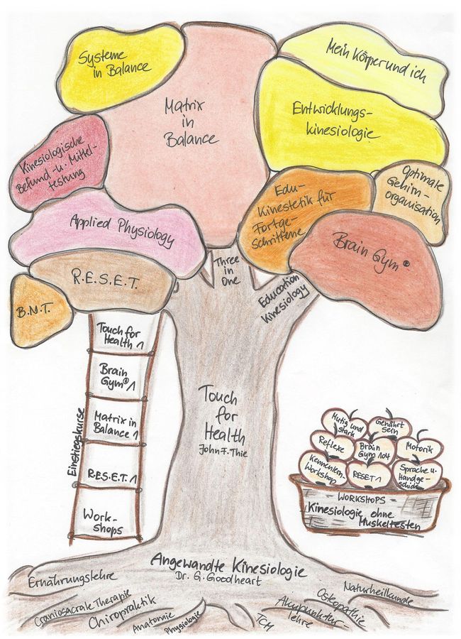 Anett Senwitz Kinesiologie-Baum