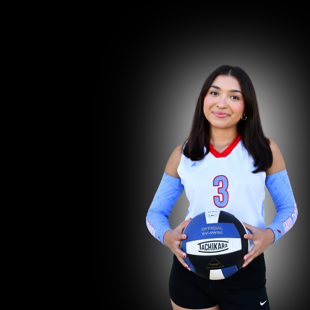 Volleyball player