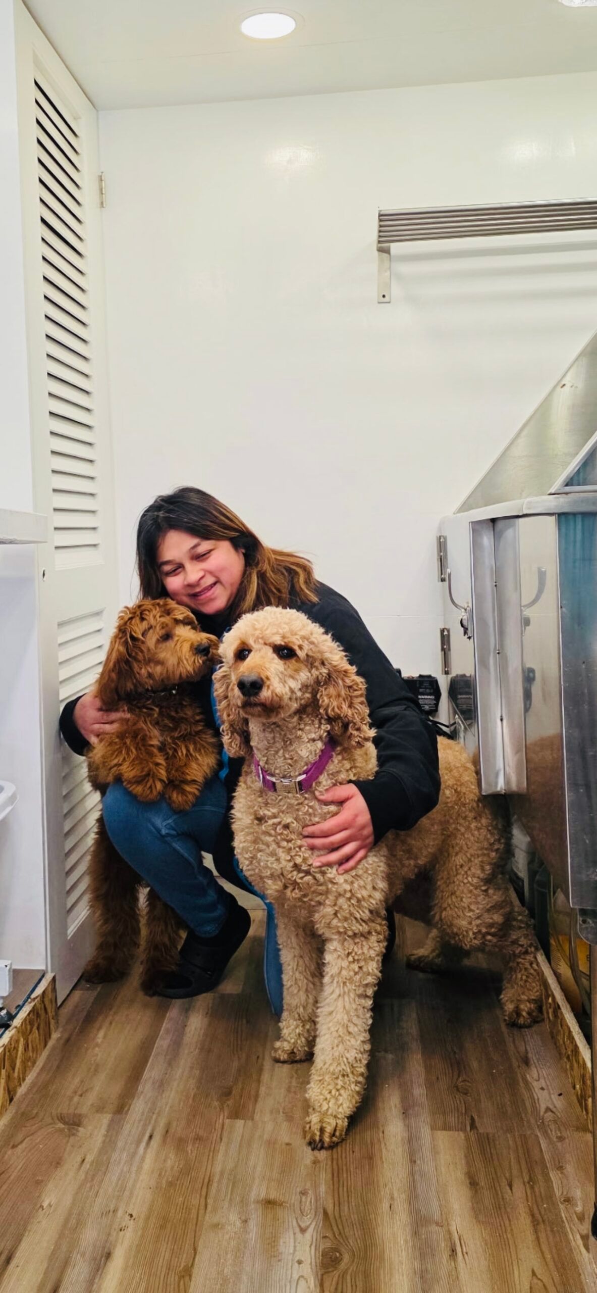 Woman hugging two fluffy dogs inside a room with wood flooring and white walls.