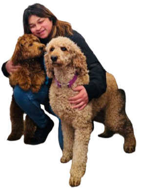 A woman hugging two dogs.