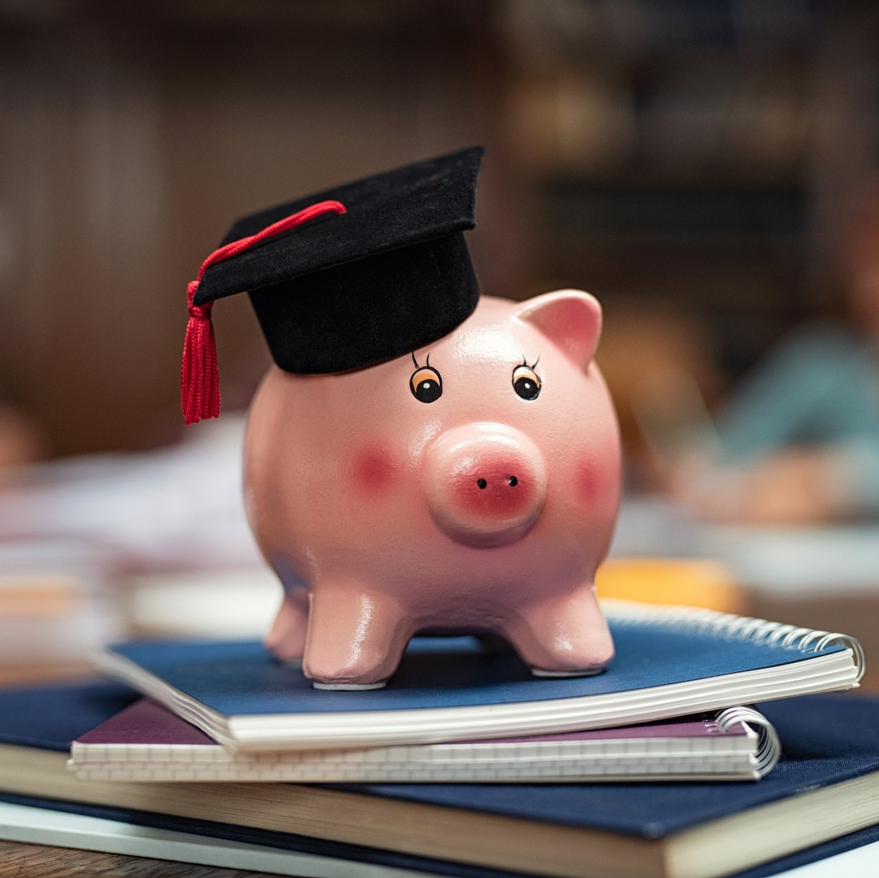 Piggy Bank Graduation Hat