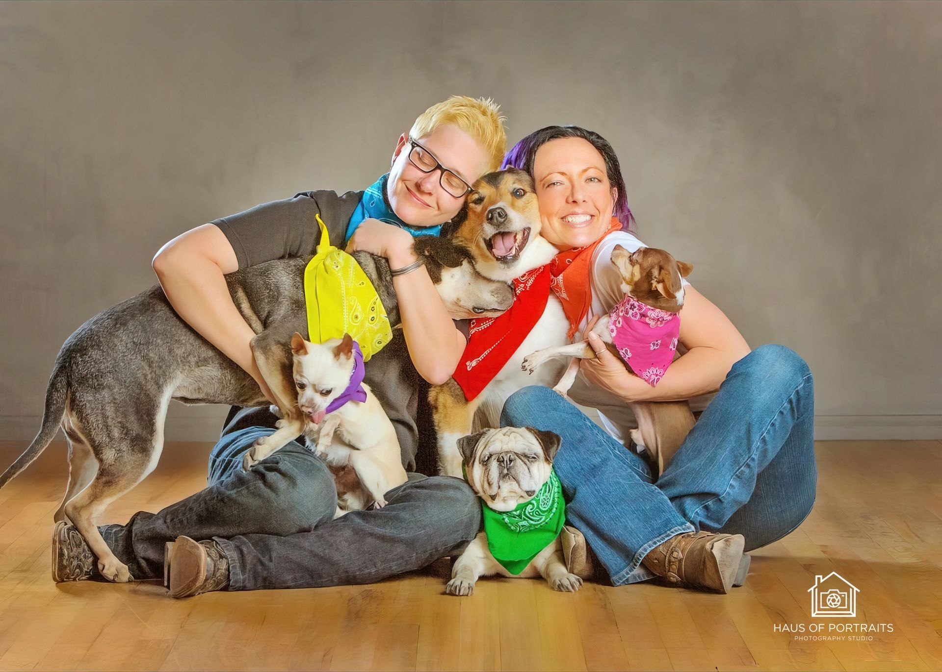 Family posing with five small dogs in colorful outfits against a gray studio backdrop