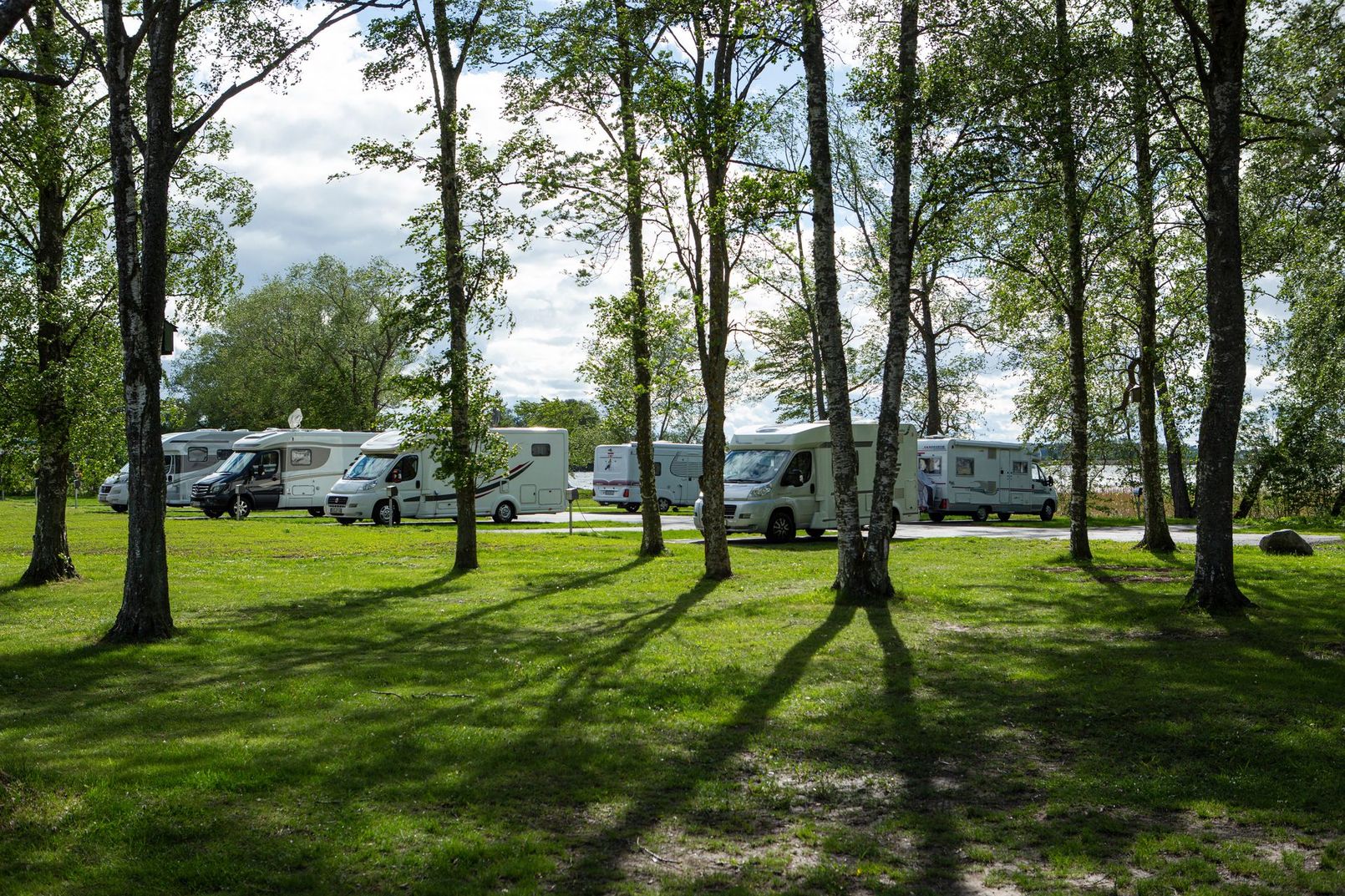 RVs parked in a grassy wooded campground with tall trees and sunlight filtering through