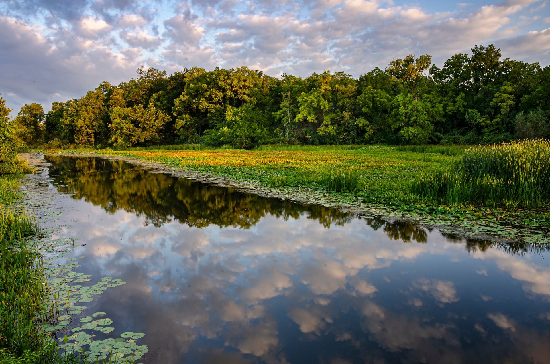 Calm river reflecting clouds and a tree-lined shore at sunset