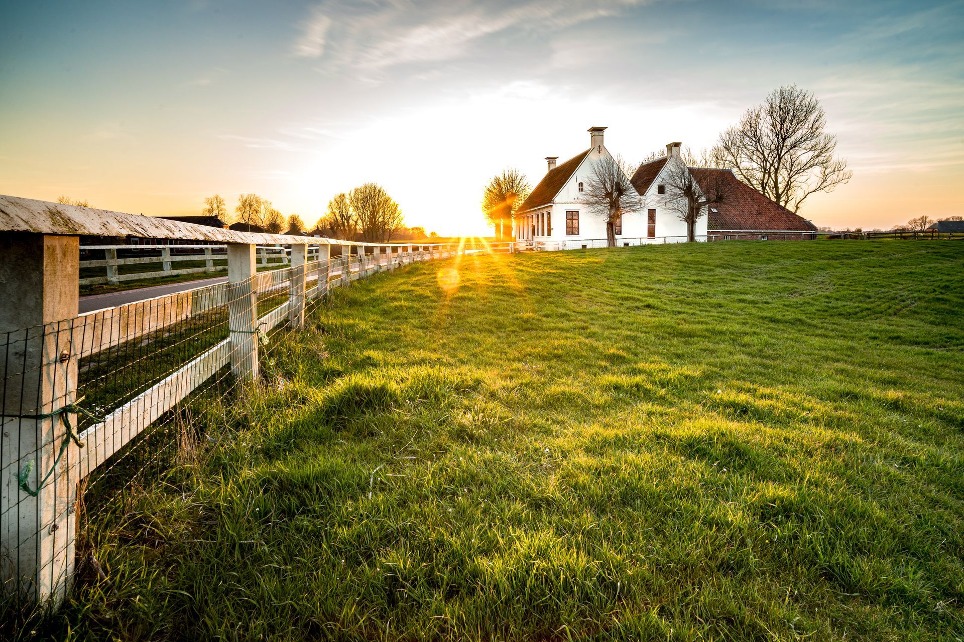 There is a fence in the foreground and a house in the background.