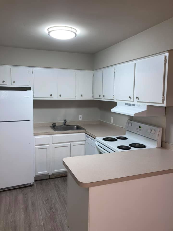 Kitchen Cleaning in Greenville, DE