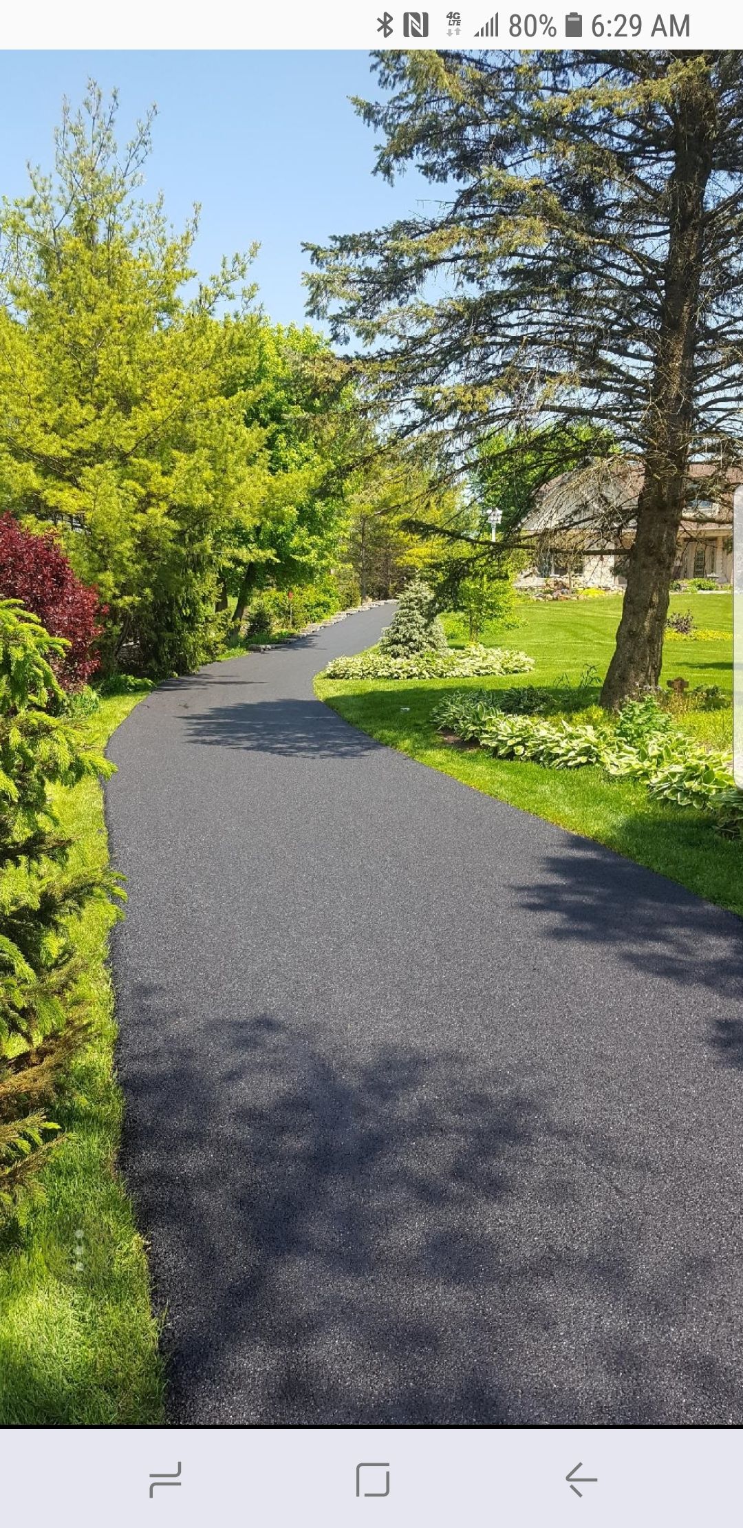 A paved, winding path leads through a lush green yard with trees and bushes under a clear blue sky.